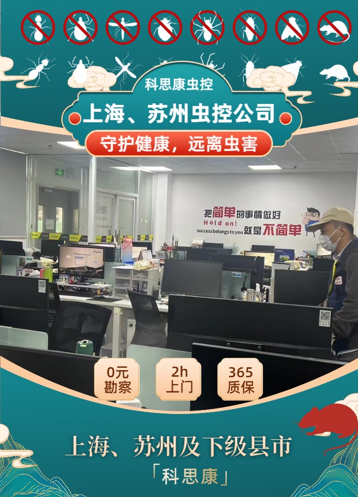 虫害反复消杀无果？苏州虫控服务费怎么选才划算省心