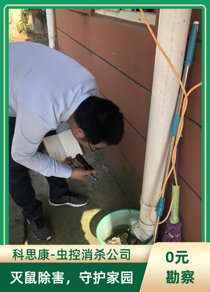 虫害反复消杀无果？相城虫控该如何选才省心靠谱