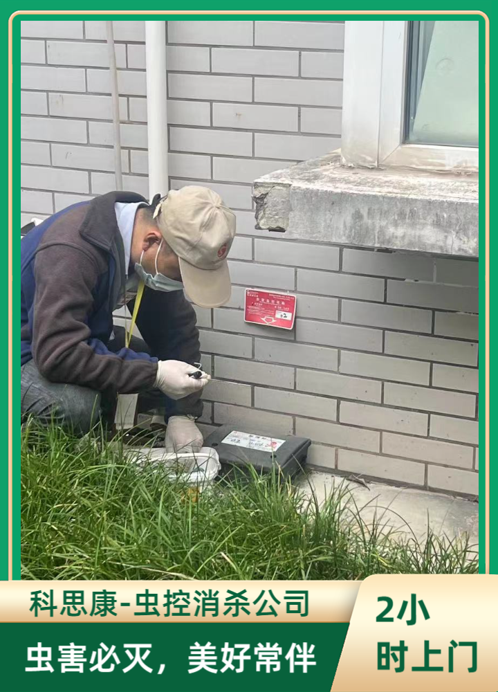 虫害反复消杀无果？苏州消杀服务该如何正确挑选