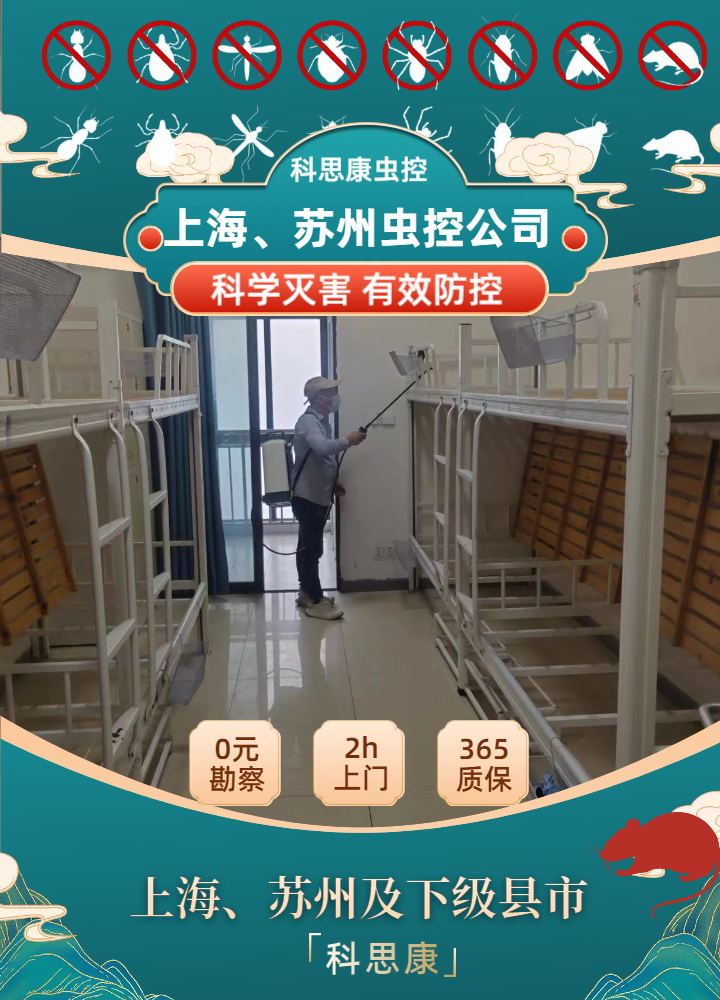 虫害反复消杀无果？虎丘区域虫控服务该如何正确选择