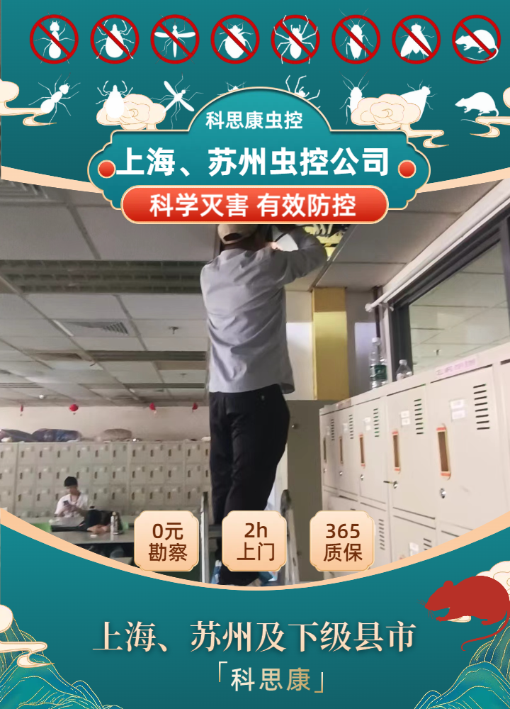 蟑螂反复根除不掉？选对消杀服务商才是彻底解决的关键