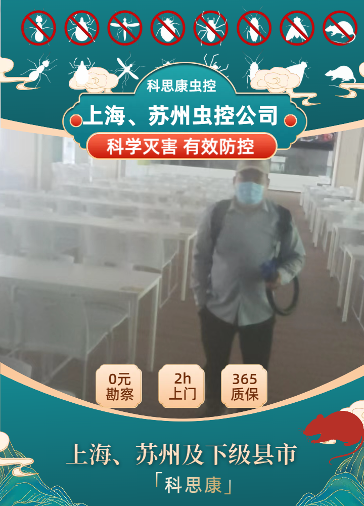 虫害反复消杀无果？苏州专业灭鼠服务如何彻底解决居家与商铺鼠患难题