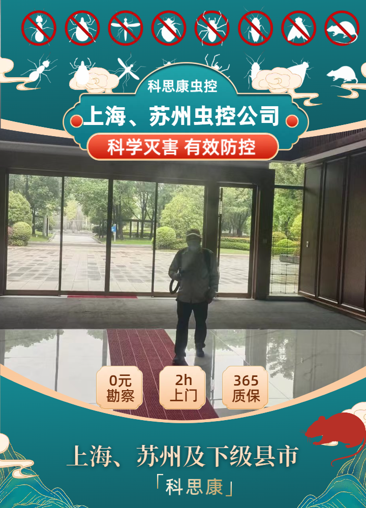 蟑螂反复根除不了？灭蟑螂公司该如何正确挑选